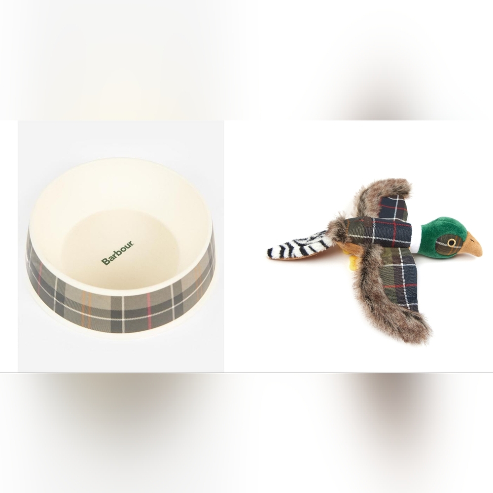 NEW  BUNDLE DEAL FOR YOUR PET BOWL AND TOY